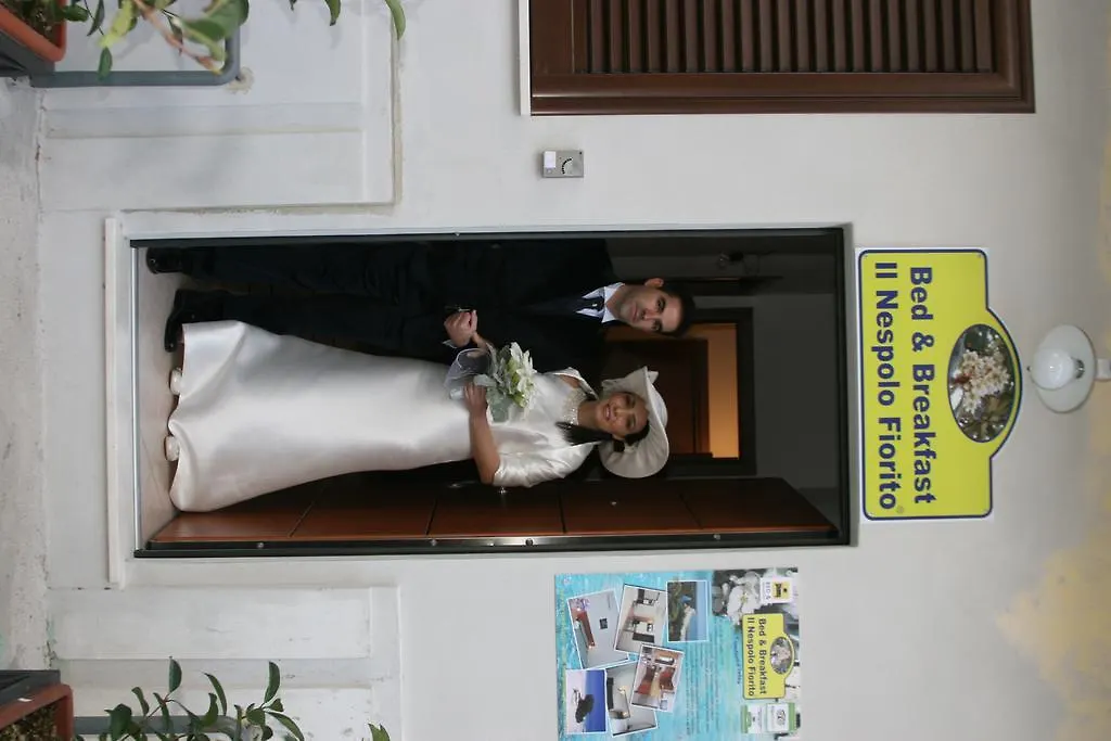 Domo - Guest-House Il Nespolo Fiorito Bed & Breakfast Orosei