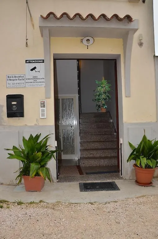 Bed and Breakfast Domo - Guest-House Il Nespolo Fiorito Orosei